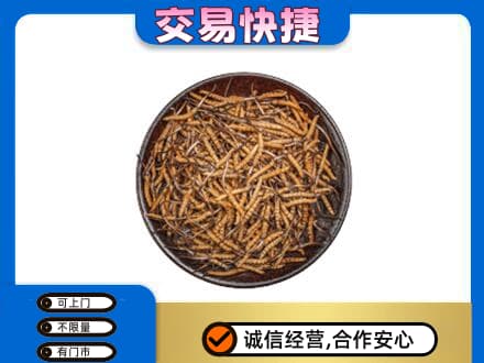 伊犁哈萨克高价回收散虫草